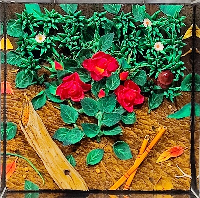 ROSETO NEL CAMPO Image
