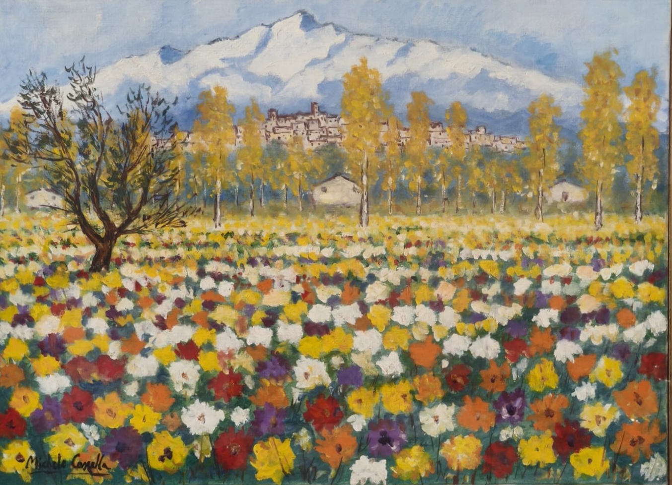 CAMPO DI FIORI Image